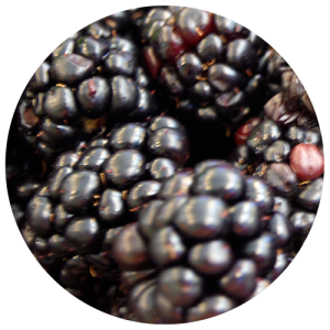 blackberries