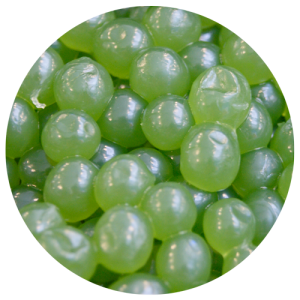boba