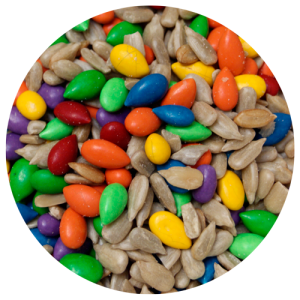 candy-coated-sunflower-seeds